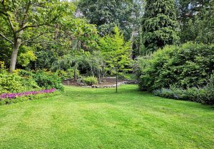 Optimiser l'expérience du jardin à Courcouronnes